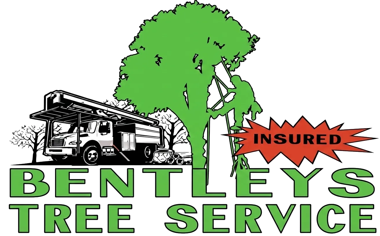 John Bentley Tree Service LLC 3