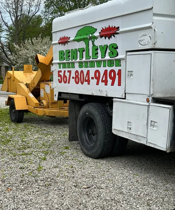 Storm Damage Cleanup